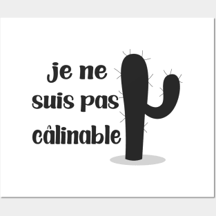 je ne suis pas calinable humour homme et femme cactus calin Posters and Art